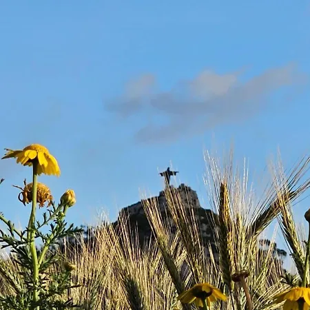 Soulnest Peace Bedroom In Shared Flat *