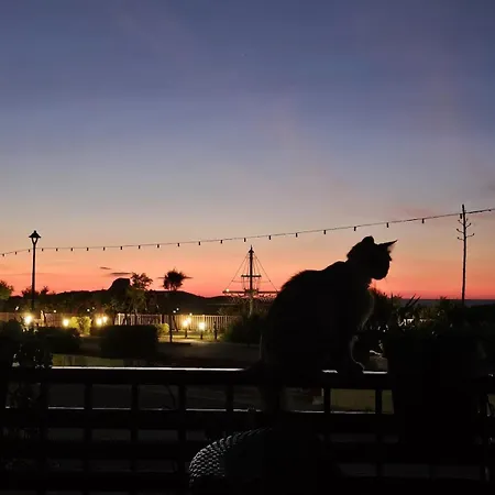 Soulnest Peace Bedroom In Shared Flat * Qbajjar