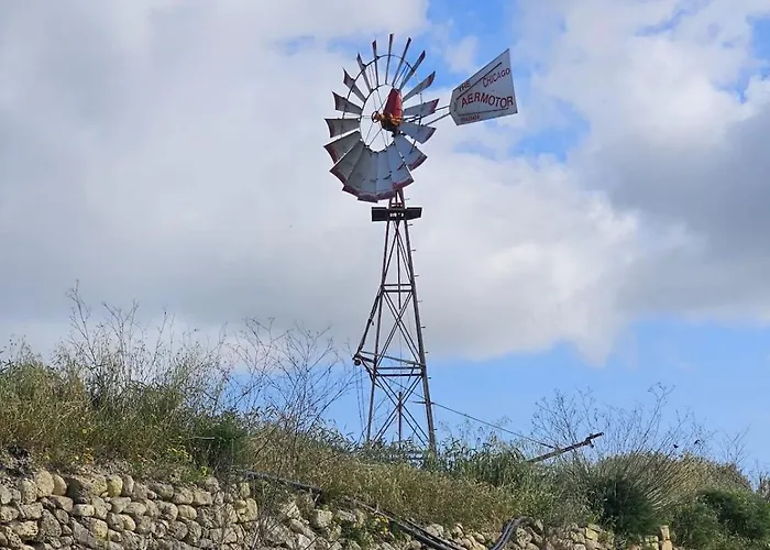 Soulnest Peace Bedroom In Shared Flat