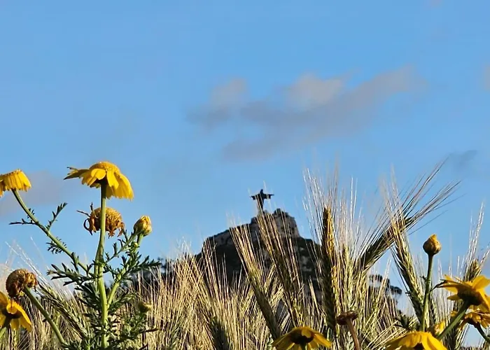 Soulnest Peace Bedroom In Shared Flat *
