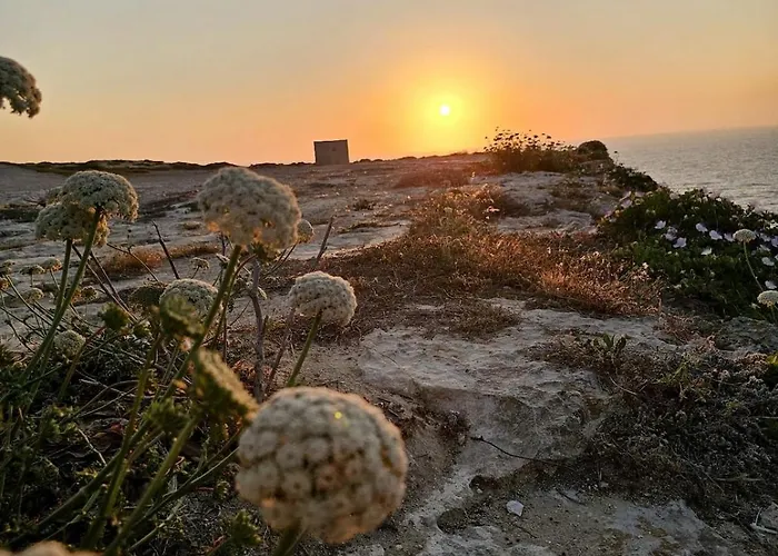 Homestay szállás Soulnest Peace Bedroom In Shared Flat Qbajjar
